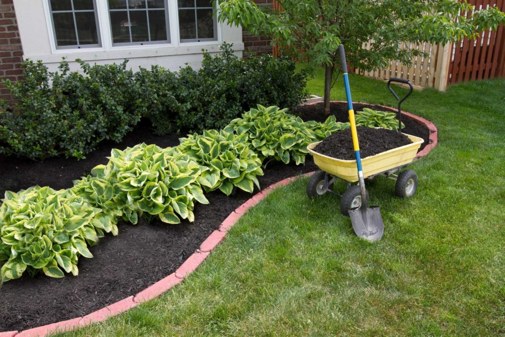 Lawn Care Norfolk