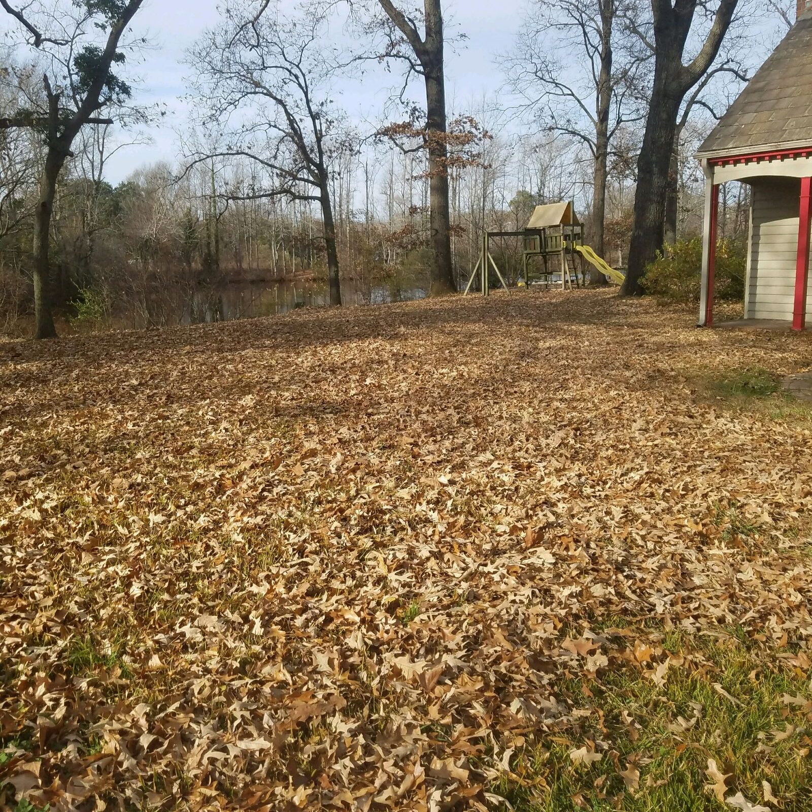 Fall Spring Cleanup Norfolk Va