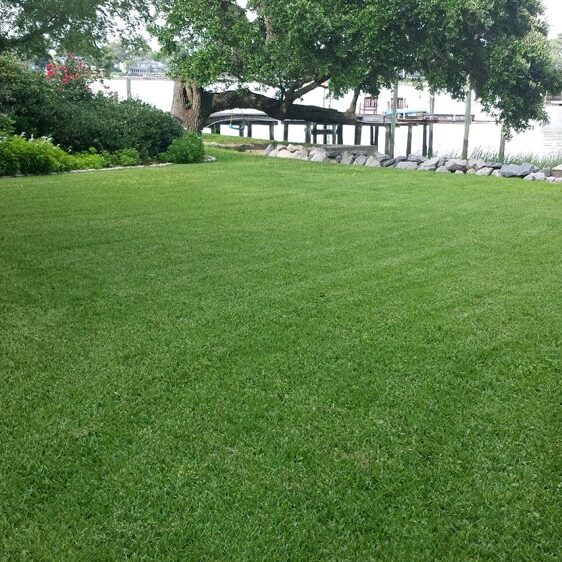 Lawn Care Maintenance Norfolk Va