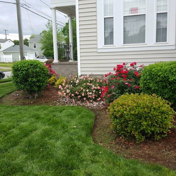 Flower Bed Maintenance Norfolk VA